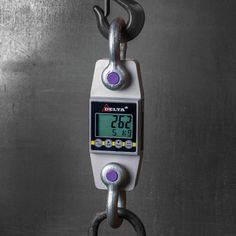 Crane scales